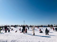 -绿野森林乐园冰雪季
