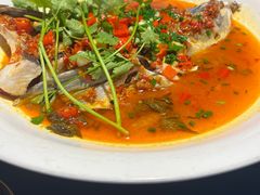 -坛宗剁椒鱼头(河西王府井店)