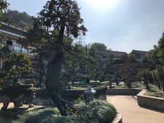 -老幺泉水鸡