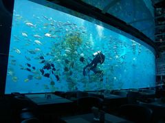 -瑞德姆美人鱼海底演艺主题餐厅(亚龙湾店)