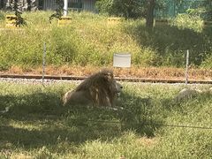 -秦皇岛野生动物园