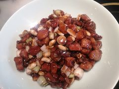 宫爆鸡丁-孙记驴肉山庄(李桥店)