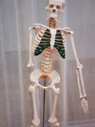 -娜斓瑜伽