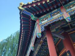 -姚记炒肝店(鼓楼店)