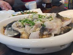 功夫鲩鱼-凤厨顺德水乡凤味馆(大良锦龙路店)
