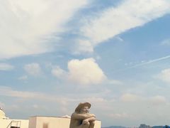 -小石岛景区