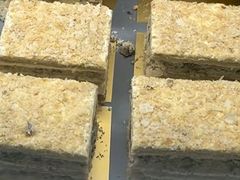 -马哥孛罗咖啡厅·Cafe Marco (厦门马哥孛罗东方大酒店)