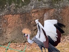 -杭州野生动物世界