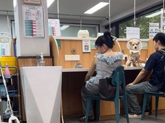 -联合动物医院(光谷诊疗中心)