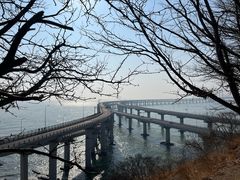 -星海湾跨海大桥