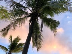 -三亚湾电动车租赁(三亚湾店)