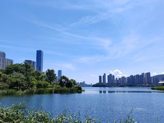 -梅溪湖城市岛