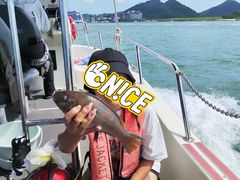 -小猫钓鱼海钓俱乐部(椰梦长廊店)