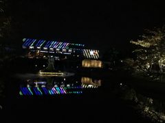 -嘉定紫藤园