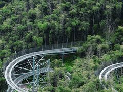 -中国大竹海景区