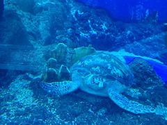 -成都浩海立方海洋公园