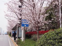 -华中科技大学光谷体育馆