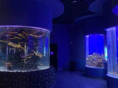 -石家庄海洋公园