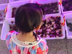-宝鸡东道花鸟鱼虫市场(吉利花园商场店)