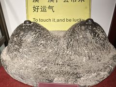 -武汉达临性学生命文化博物馆