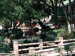 -名树园