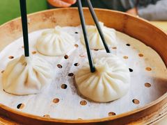 大肉汤包-小六汤包·老字号·中华名小吃(公园南路店)