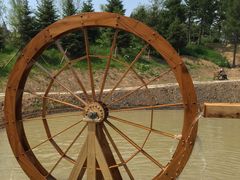 -北纬44度·金珠花海休闲农业旅游景区