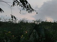-海南热带海洋学院(三亚校区)