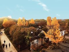 -盘门景区