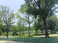 -牛岗山公园