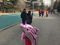 -北京动物园