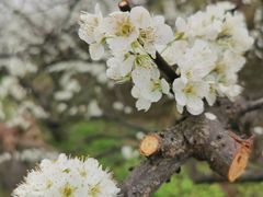 -松花湖风景名胜区