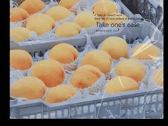 -江杨农产品批发市场