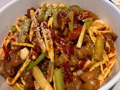 -天辣(金桥啦啦宝都店)