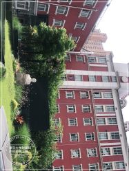 -复旦大学附属妇产科医院(黄浦院区)