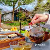 信我！开春踏青就来西溪湿地吧…