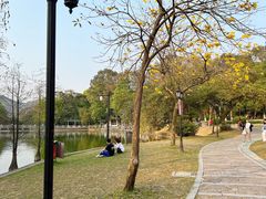 -广州市白云山风景名胜区