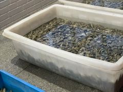 水产区-老虎滩大连海鲜烧烤(建邺云锦路总店)