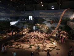 -自贡恐龙博物馆