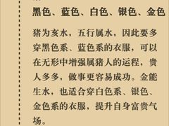 -观心实验室·心理咨询(上海旗舰店)