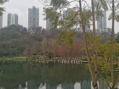 -重庆彩云湖湿地公园