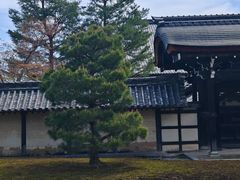-天龙寺