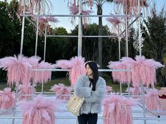 -东南花都花博园