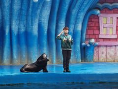 -华夏文旅海洋公园