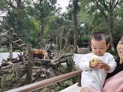 -杭州少年儿童公园
