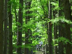 -采石矶景区