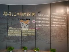 -仪征博物馆