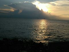 景点-宝安西湾红树林湿地公园