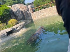-青岛森林野生动物世界