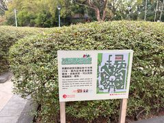 -九龙公园